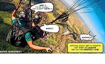 Two men paraglide to look for the perfect job when they bump into a bird